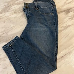 Torrid Skinny Jegging Highrise Jeans